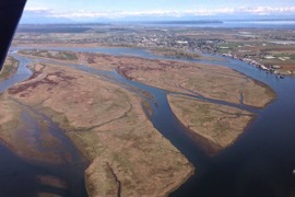 Barber_Island,_British_Columbia